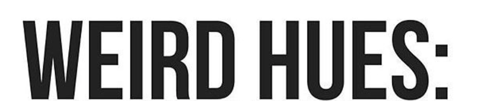 Screen Shot 2018-11-20 at 1.46.46 PM